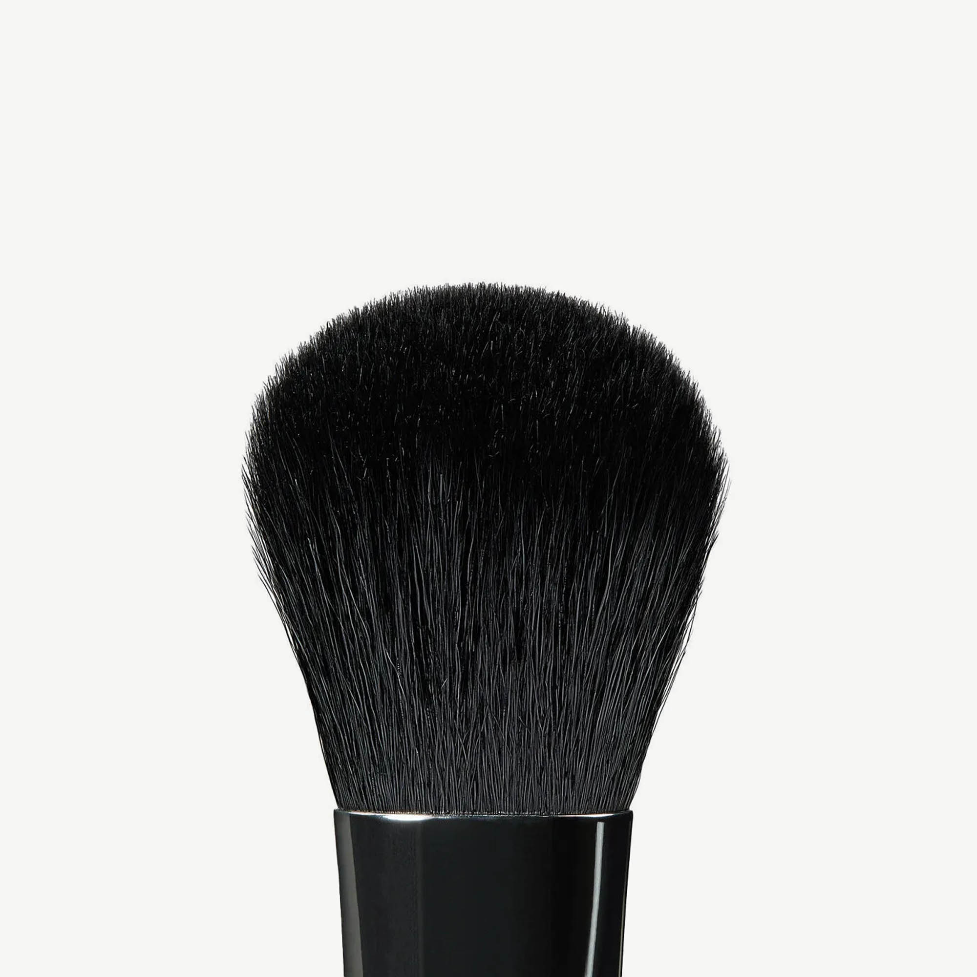 A19 Pro Brush - Blush Brush - Image 2